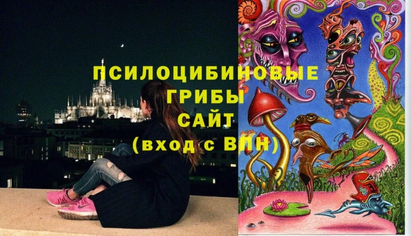 дурь Наволоки