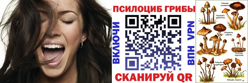 купить   площадка формула  MEGA tor  Псилоцибиновые грибы мицелий  Приволжский 
